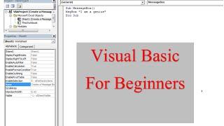 Visual Basic for Learners 1. Some basic code and commands