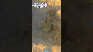 하천에서 삽질로 금(Gold)을 캣당게요!! #사금 #사금채취 #하이뱅크