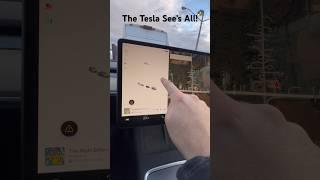 How Good is the Tesla’s Camera Technology?