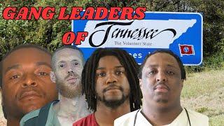 Gang Leaders of Tennessee: Inside the Minds of Notorious Criminals