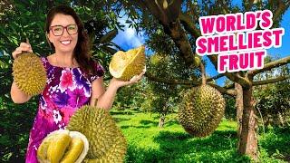 Why I NOW LOVE the World's SMELLIEST Fruit  Thailand's Best Durian in HUA HIN