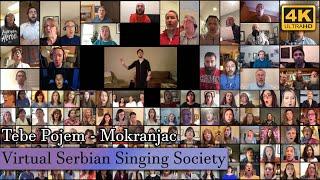 (4K) VSSS Virtual Choir - "Tebe Pojem" Mokranjac