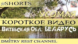 Берег, Озеро... Усомля... Беларусь #shorts