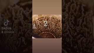 تعلم قراءة الفنجان او تعلم تبصير بالفنجان يوجد بالفنجان رموز وكل رمز له معنى اذا شفت رقم ٢ بالفنجان
