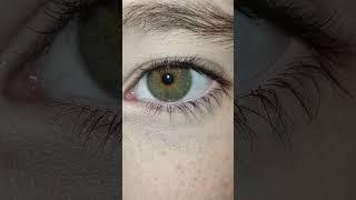 hazel eyes  #lashes #eye #hazeleyes
