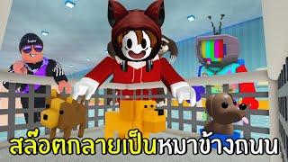 เมื่อสล็อตกลายเป็นหมาข้างถนน #1 | Roblox Pet Story