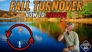 5 Proven Ways to Catch Bass During Fall Lake Turnover! (How to SURVIVE!)