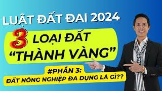 Phân tích sâu: 3 Loại đất trở thành Vàng khi Luật Đất Đai mới 2024 được áp dụng #Phần 3 | Hiệp BĐS