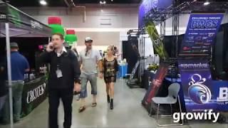 Portland - Indo Expo - 2017