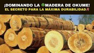 ¡Dominando la MADERA DE OKUME! El Secreto para la Máxima Durabilidad🪑