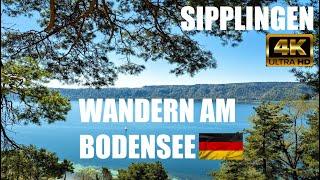 Wandern am Bodensee - Blütenweg Sipplingen - 4K UHD