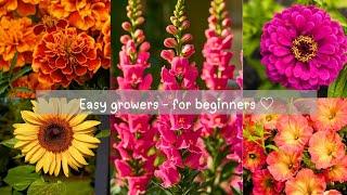 Flowers and Plants that are EASY to grow