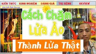 Cách Chăm Chim Lửa Ảo thành Lửa thật cho chào mào Thi Đấu Giàn cực kỳ hiệu quả