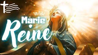 Parole et Évangile du jour | Jeudi 22 août • Bienheureuse Vierge Marie Reine