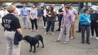ATF in Photos 14 June 2016