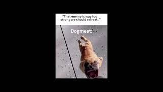 Fall out dog meat meme