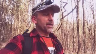 SASQUATCH WIZARD ADIRONDACKS RS-2-46 Possible tree pushed blocking trail?