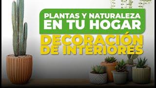 Descubre cómo traer la naturaleza a tu hogar: Ideas de decoración con plantas #diseñointeriores