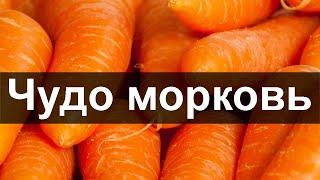 ТАКАЯ ПОЛЕЗНАЯ МОРКОВЬ. Как и зачем стоит употреблять морковь · Полезно Знать