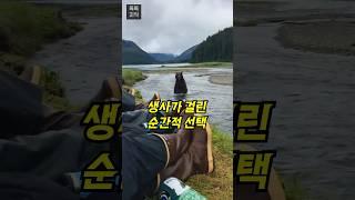 야생곰을 피할 수 없을 때 최후의 방법