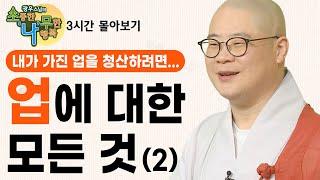 내 업을 청산하는 방법! 업에 대한 모든 것을 알려드립니다(2) [광우스님의 소나무 몰아보기3편]