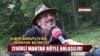 Zehirli mantar böyle anlaşılır!