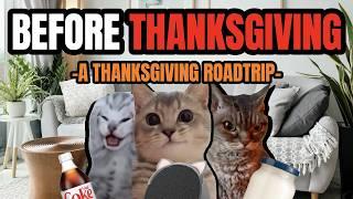 Cat MEMES: BEFORE THANKSGIVING