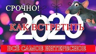 Как правильно встретить Новый 2020 Год Крысы