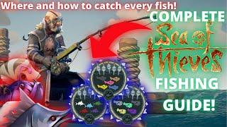 Secrets to Catching Every Fish! Season 11 Guide!