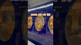오사카 3박 4일 일정추천 #오사카 #오사카브이로그 #오사카맛집 #오사카쇼핑 #오사카여행 #유니버셜스튜디오 #닌텐도월드 #교토여행 #교토맛집 #교토브이로그 #교토 #오사카3박4일