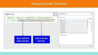 EDC Data Steward - Data Curation & Assigning Data Domains