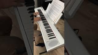 Yamaha Piaggero NP-32 white video demo