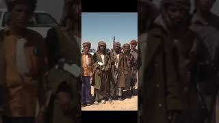 الشيخ بن حبريش : الحضارم قوة على أرضهم