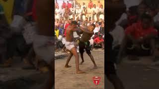 AGGRESIVENESS. The Thirst for blood
