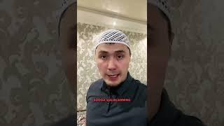 Sof qaig’u sohiblari