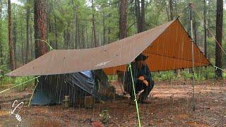 Solo Camping in Rain, New Tarp, Relaxing in tarp shelter, with my Dog, ASMR