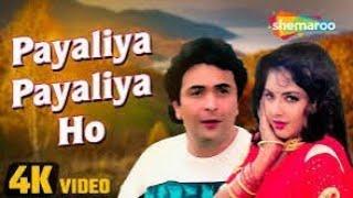 Payaliya Ho Ho Ho l Kumar Sanu hit songs l Alka Yagnik - Kumar Sanu l Rishi Kapoor l Divya Bharati