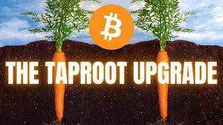 What is the Bitcoin Taproot Upgrade?