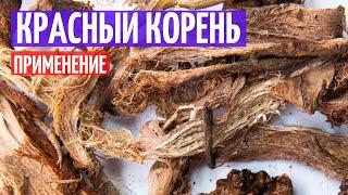 Красный корень применение. Лечебные свойства Копеечника I Herbals-ua.com