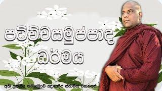 පටිච්චසමුප්පාද ධර්මය | Paticca-Samuppada | Ven Galigamuwe Gnanadeepa Thero