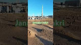 Jannatul bucky  #murtaza9871 #shorts #shortvideo