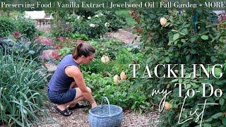 Getting Work DONE in the Homestead Kitchen & Garden