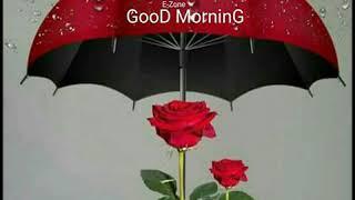 Aashish mor jaat