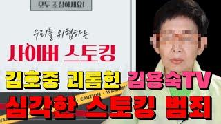김호중 4년간 지속적으로 '사이버스토킹'으로 괴롭힌 사이버렉카 김용숙TV..스토킹범죄 해당