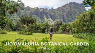 Ho'omaluhia, the Most Beautiful Botanical Garden in Oahu, HI