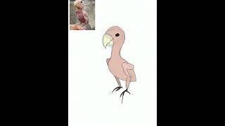 Featherless Bird