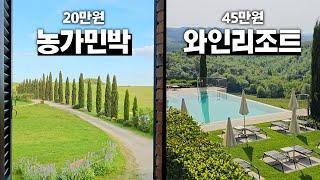  당신의 선택은? 이탈리아 20만원 농가민박 vs 45만원 고급 와인리조트 【토스카나 3편】