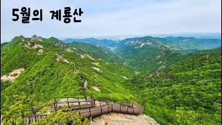 계룡산 봄 트레킹(동학사-관음봉-남매탑-동학사)