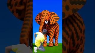 The_mascot_vibrato_assistant_placed_on_the_football_field_is_popular,_co-produced #trending #shorts