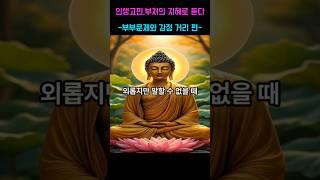 인생고민 부처님의 지혜로 듣다-부부문제와 감정 거리편- 제7화 외롭지만 말할수 없을때  #부처님말씀 #명언 #자기수행 #부처님가르침 #인생고민 #삶의고민   #수행